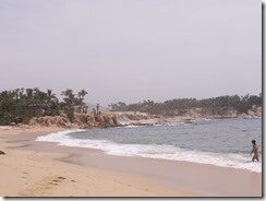 Picture 237