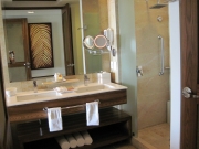 grand-bliss-batheroom-shower.JPG