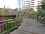 walkway to paradise.JPG