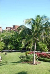 grand mayan grounds