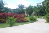 vidanta riviera maya flowers-plants