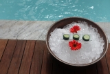 bowl of ice