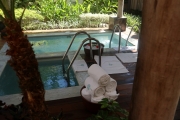 cold plunge pool