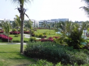 mayan-palace-landscaped-grounds.jpg