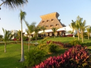 mayan-palace-thatch-roof.jpg