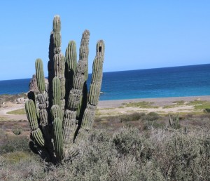 on the road to Cabo Pulma