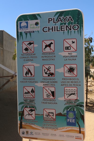 playa Chileno