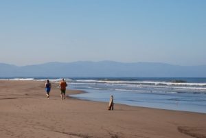 walking the beach