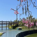 Vidanta grounds