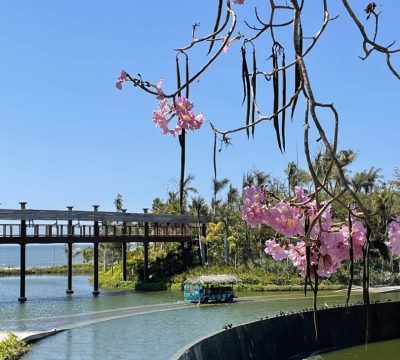 Vidanta grounds