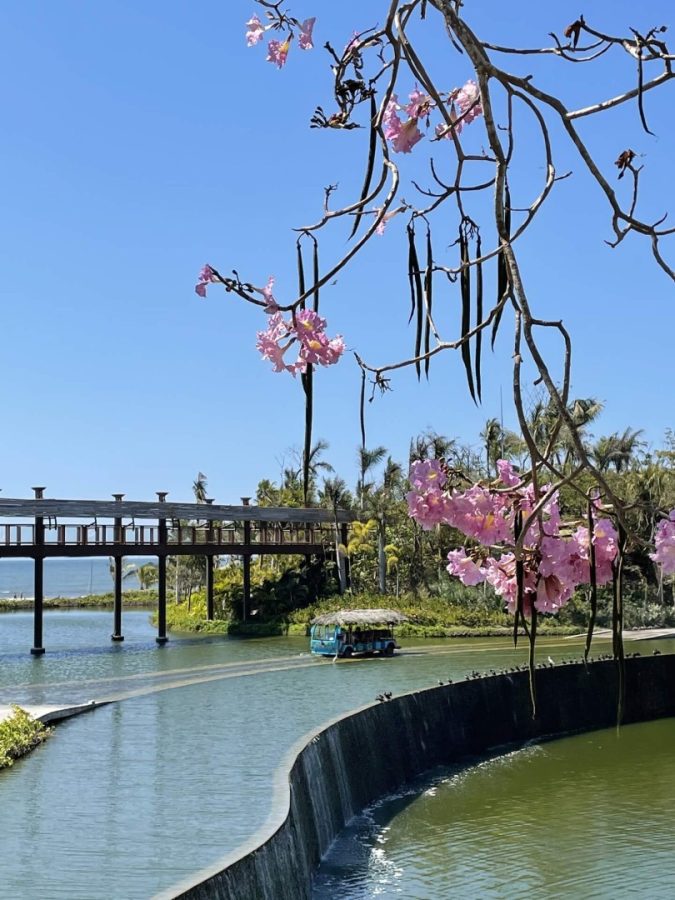 Vidanta grounds