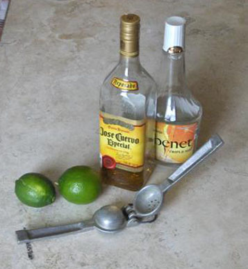 ingredients for the perfect margarita recipess