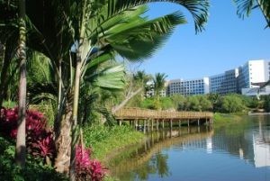 nuevo vallarta resort grounds