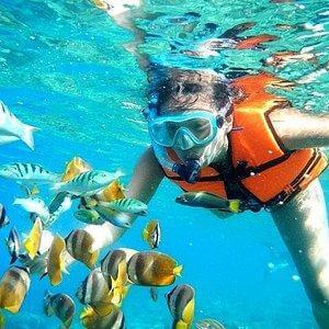 snorkel riviera maya