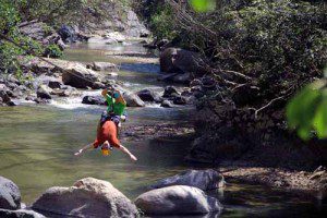 upside-down zipline-canopy